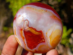 Polished Carnelian Agate Gemstone Galets x 24 From Madagascar - Toprock Gemstones and Minerals 