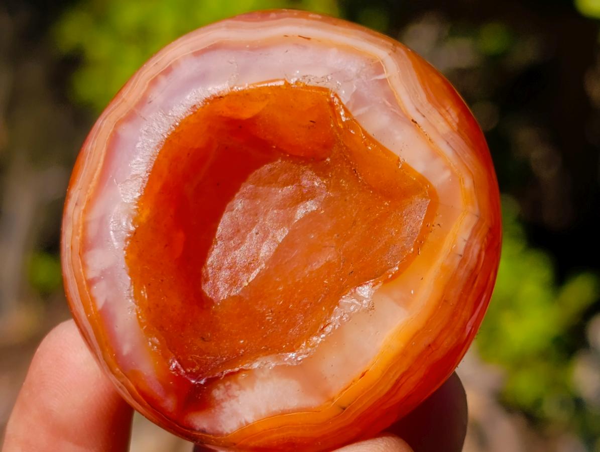 Polished Carnelian Agate Gemstone Galets x 24 From Madagascar - Toprock Gemstones and Minerals 