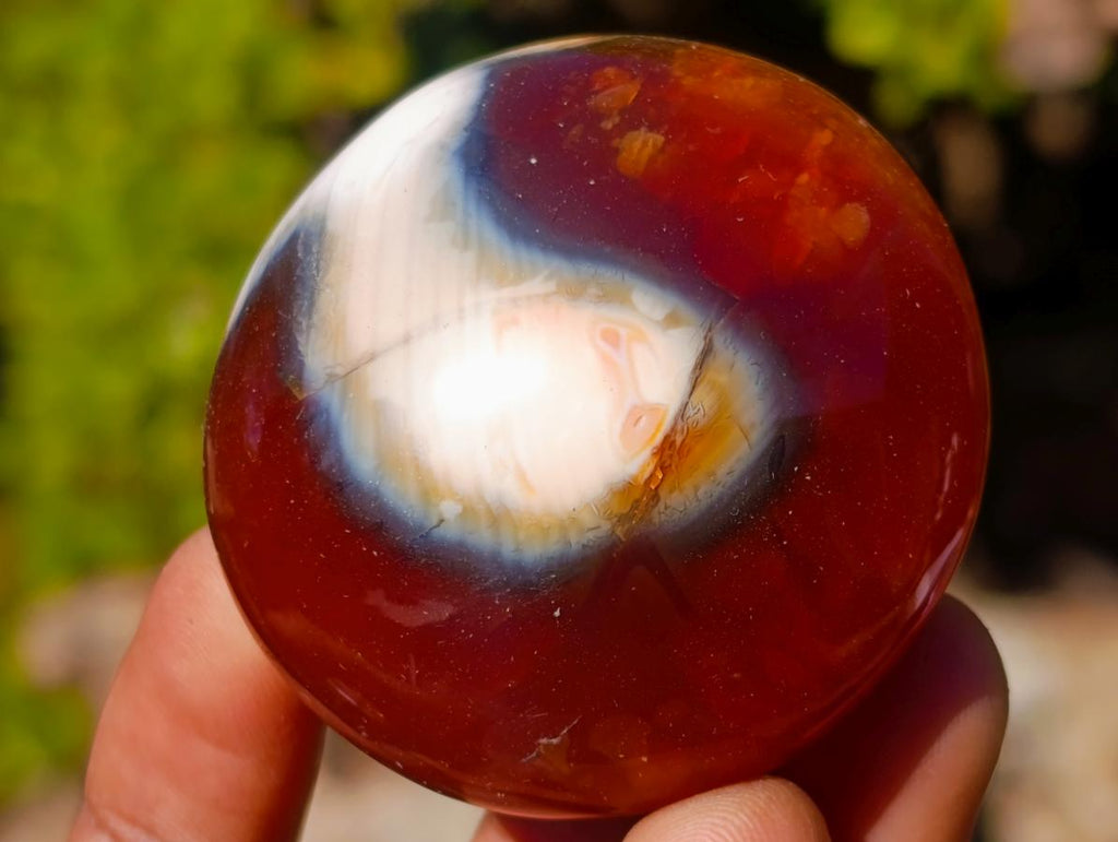 Polished Carnelian Agate Gemstone Galets x 24 From Madagascar - Toprock Gemstones and Minerals 