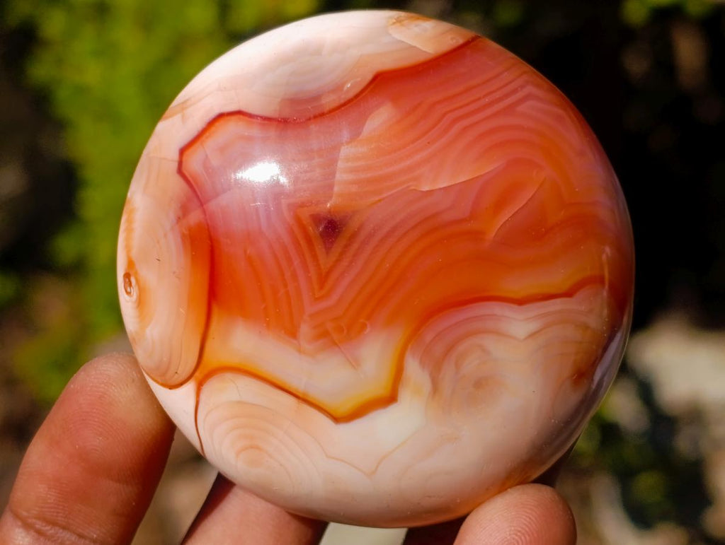 Polished Carnelian Agate Gemstone Galets x 24 From Madagascar - Toprock Gemstones and Minerals 