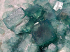 Natural XL Green Cubic Fluorite Specimen x 1 From Mandrosonoro, Madagascar - Toprock Gemstones and Minerals 