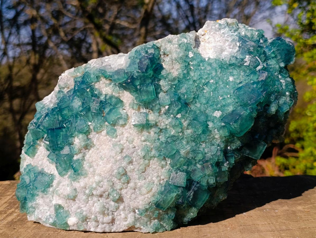 Natural XL Green Cubic Fluorite Specimen x 1 From Mandrosonoro, Madagascar - Toprock Gemstones and Minerals 