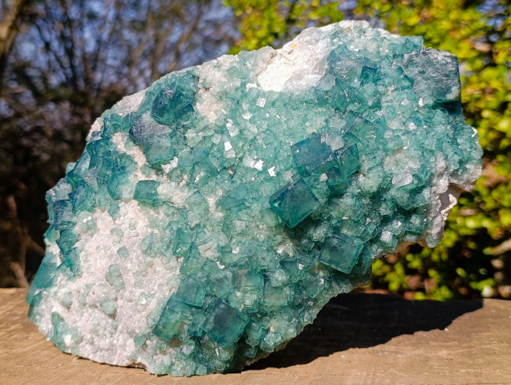 Natural XL Green Cubic Fluorite Specimen x 1 From Mandrosonoro, Madagascar - Toprock Gemstones and Minerals 