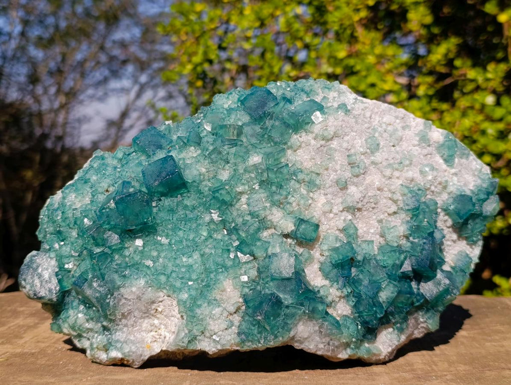 Natural XL Green Cubic Fluorite Specimen x 1 From Mandrosonoro, Madagascar - Toprock Gemstones and Minerals 