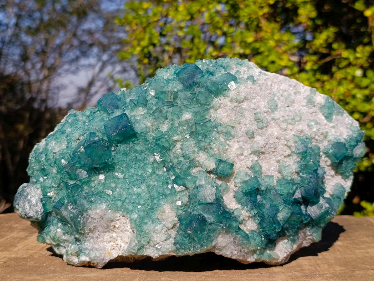Natural XL Green Cubic Fluorite Specimen x 1 From Mandrosonoro, Madagascar - Toprock Gemstones and Minerals 
