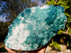Natural XL Green Cubic Fluorite Specimen x 1 From Mandrosonoro, Madagascar - Toprock Gemstones and Minerals 
