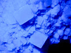 Natural XL Green Cubic Fluorite Specimen x 1 From Mandrosonoro, Madagascar - Toprock Gemstones and Minerals 