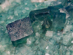 Natural XL Green Cubic Fluorite Specimen x 1 From Mandrosonoro, Madagascar - Toprock Gemstones and Minerals 