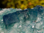 Natural XL Green Cubic Fluorite Specimen x 1 From Mandrosonoro, Madagascar - Toprock Gemstones and Minerals 