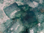 Natural XL Green Cubic Fluorite Specimen x 1 From Mandrosonoro, Madagascar - Toprock Gemstones and Minerals 