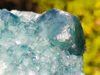 Natural XL Green Cubic Fluorite Specimen x 1 From Mandrosonoro, Madagascar - Toprock Gemstones and Minerals 