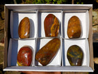 Polished Red and Brown Jasper Standing Display Pieces x 6 From Madagascar - Toprock Gemstones and Minerals 
