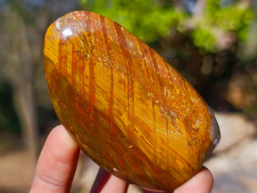 Polished Red and Brown Jasper Standing Display Pieces x 6 From Madagascar - Toprock Gemstones and Minerals 