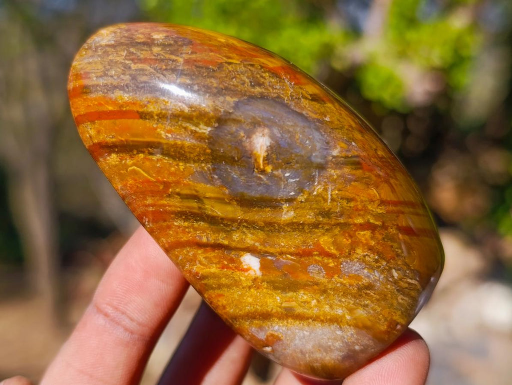 Polished Red and Brown Jasper Standing Display Pieces x 6 From Madagascar - Toprock Gemstones and Minerals 
