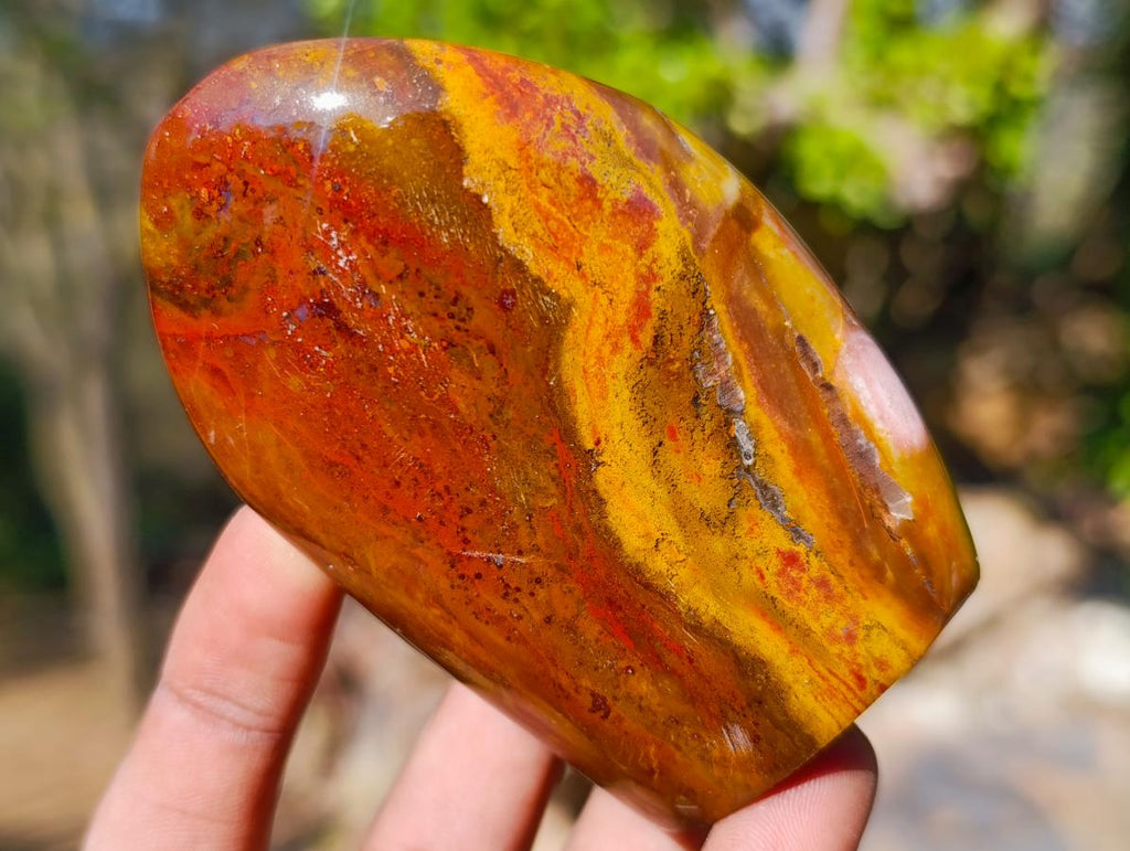 Polished Red and Brown Jasper Standing Display Pieces x 6 From Madagascar - Toprock Gemstones and Minerals 