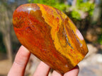 Polished Red and Brown Jasper Standing Display Pieces x 6 From Madagascar - Toprock Gemstones and Minerals 