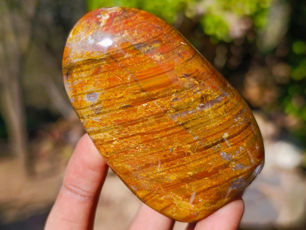 Polished Red and Brown Jasper Standing Display Pieces x 6 From Madagascar - Toprock Gemstones and Minerals 