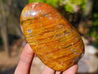 Polished Red and Brown Jasper Standing Display Pieces x 6 From Madagascar - Toprock Gemstones and Minerals 
