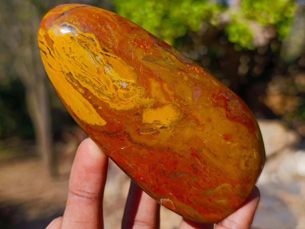 Polished Red and Brown Jasper Standing Display Pieces x 6 From Madagascar - Toprock Gemstones and Minerals 