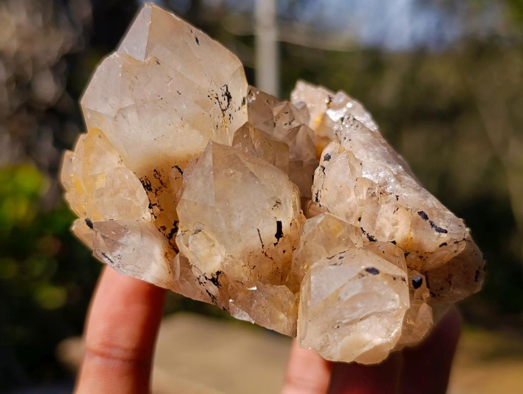 Natural Cascading Smokey Phantom Quartz Clusters x 6 From Luena, Congo - Toprock Gemstones and Minerals 