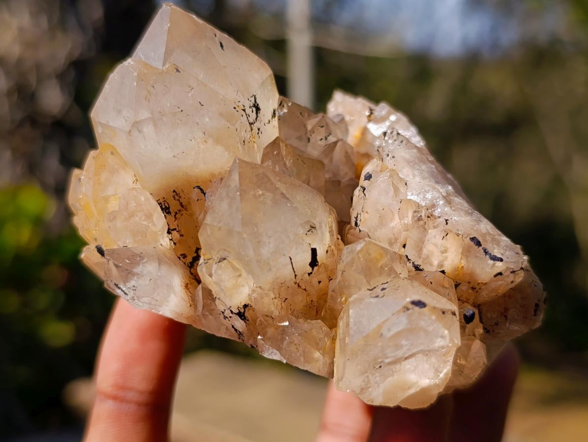 Natural Cascading Smokey Phantom Quartz Clusters x 6 From Luena, Congo - Toprock Gemstones and Minerals 
