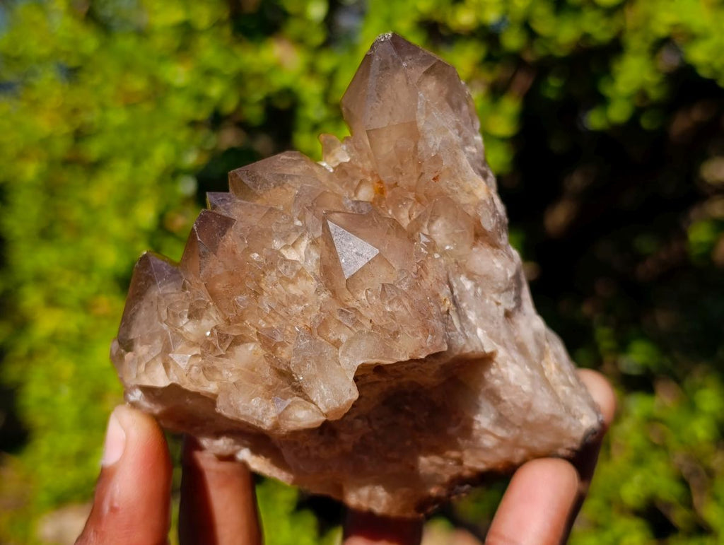 Natural Cascading Smokey Phantom Quartz Clusters x 6 From Luena, Congo - Toprock Gemstones and Minerals 