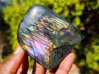 Polished Labradorite Standing Display Pieces x 6 From Madagascar - Toprock Gemstones and Minerals 