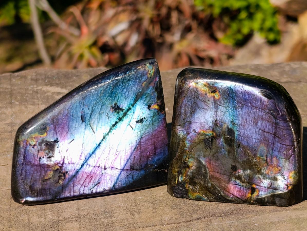 Polished Labradorite Standing Display Pieces x 6 From Madagascar - Toprock Gemstones and Minerals 