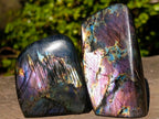 Polished Labradorite Standing Display Pieces x 6 From Madagascar - Toprock Gemstones and Minerals 