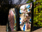 Polished Labradorite Standing Display Pieces x 6 From Madagascar - Toprock Gemstones and Minerals 