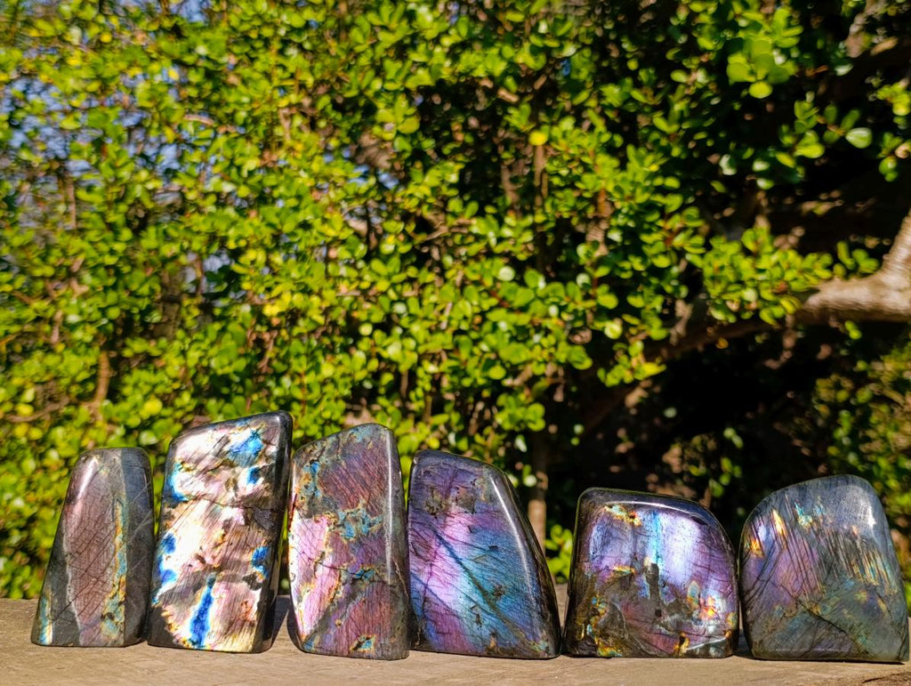 Polished Labradorite Standing Display Pieces x 6 From Madagascar - Toprock Gemstones and Minerals 