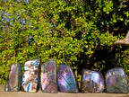 Polished Labradorite Standing Display Pieces x 6 From Madagascar - Toprock Gemstones and Minerals 