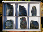 Polished Labradorite Standing Display Pieces x 6 From Madagascar - Toprock Gemstones and Minerals 