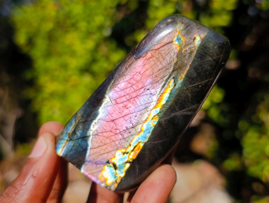 Polished Labradorite Standing Display Pieces x 6 From Madagascar - Toprock Gemstones and Minerals 