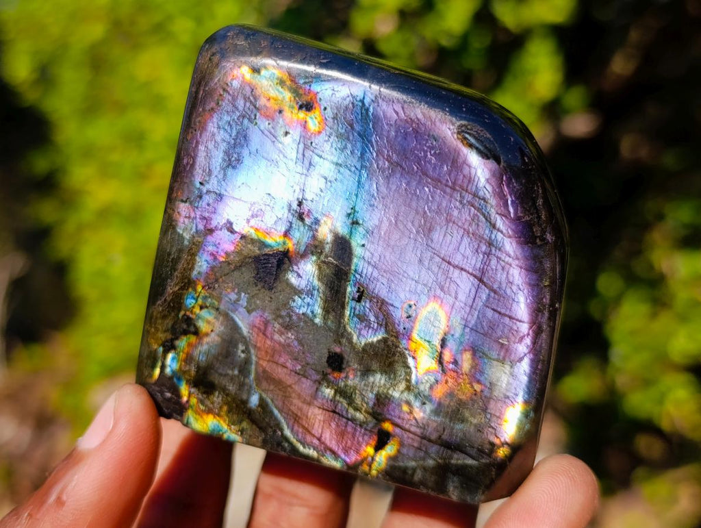 Polished Labradorite Standing Display Pieces x 6 From Madagascar - Toprock Gemstones and Minerals 