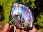Polished Labradorite Standing Display Pieces x 6 From Madagascar - Toprock Gemstones and Minerals 