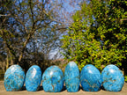 Polished Blue Apatite Standing Display Pieces x 6 From Betroka, Madagascar - Toprock Gemstones and Minerals 