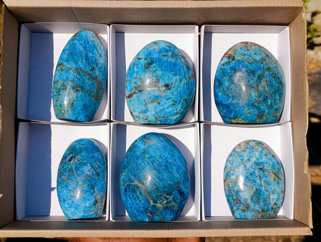 Polished Blue Apatite Standing Display Pieces x 6 From Betroka, Madagascar - Toprock Gemstones and Minerals 