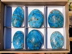 Polished Blue Apatite Standing Display Pieces x 6 From Betroka, Madagascar - Toprock Gemstones and Minerals 