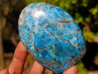 Polished Blue Apatite Standing Display Pieces x 6 From Betroka, Madagascar - Toprock Gemstones and Minerals 