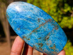Polished Blue Apatite Standing Display Pieces x 6 From Betroka, Madagascar - Toprock Gemstones and Minerals 