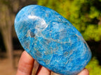 Polished Blue Apatite Standing Display Pieces x 6 From Betroka, Madagascar - Toprock Gemstones and Minerals 