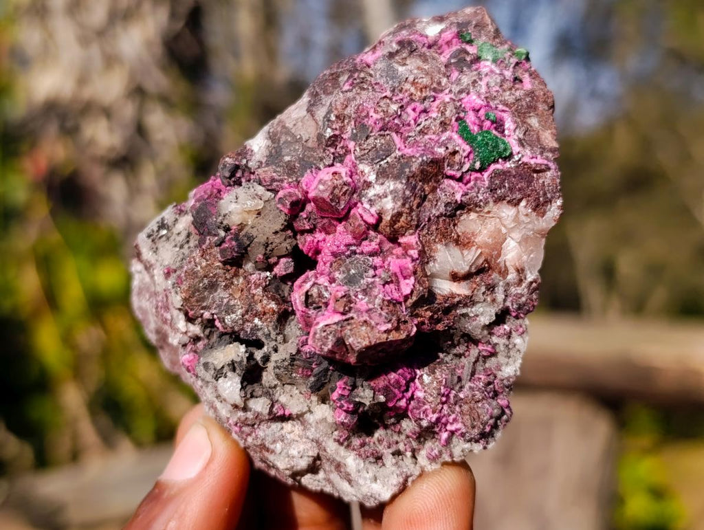 Natural Salrose Cobaltoan Dolomite Specimens with Malachite and Heterogenite x 12 From Kakanda, Congo - Toprock Gemstones and Minerals 