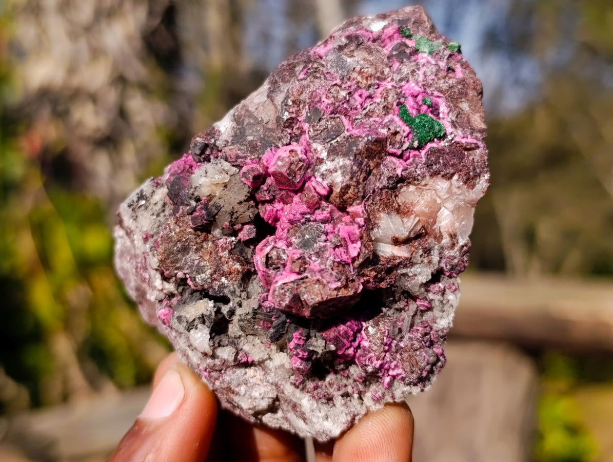 Natural Salrose Cobaltoan Dolomite Specimens with Malachite and Heterogenite x 12 From Kakanda, Congo - Toprock Gemstones and Minerals 