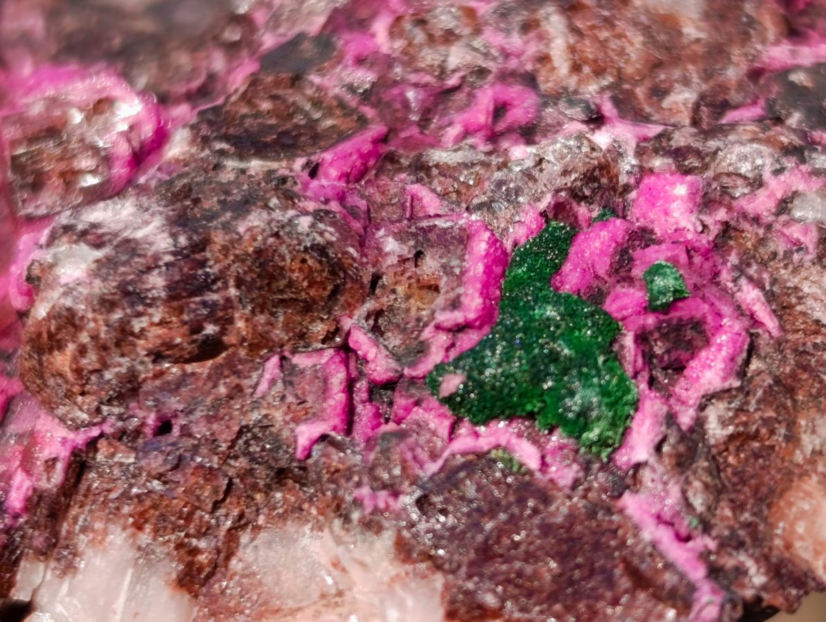 Natural Salrose Cobaltoan Dolomite Specimens with Malachite and Heterogenite x 12 From Kakanda, Congo - Toprock Gemstones and Minerals 