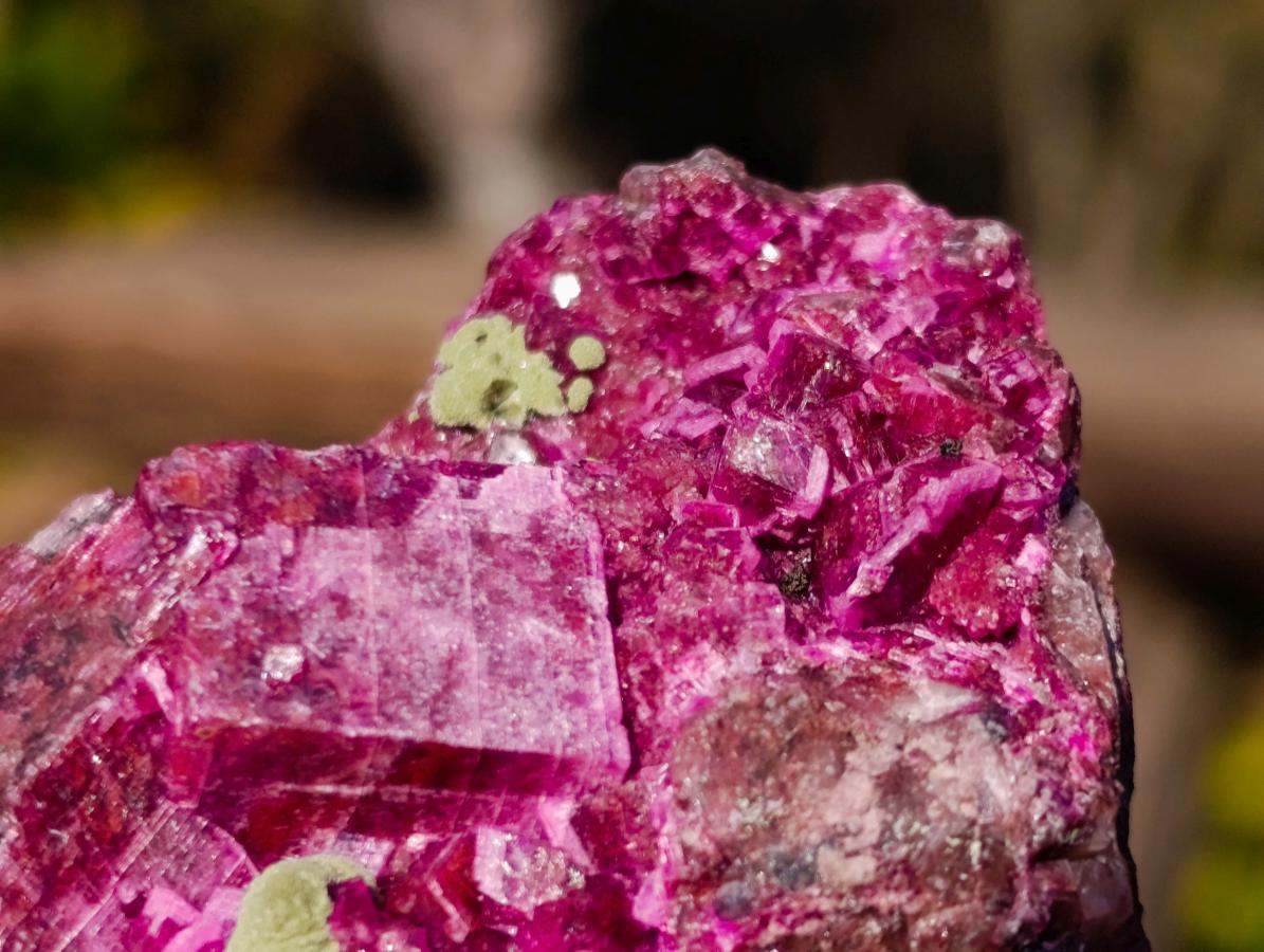 Natural Salrose Cobaltoan Dolomite Specimens with Malachite and Heterogenite x 12 From Kakanda, Congo - Toprock Gemstones and Minerals 