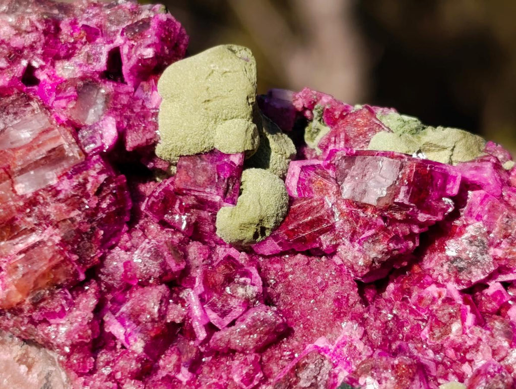 Natural Salrose Cobaltoan Dolomite Specimens with Malachite and Heterogenite x 12 From Kakanda, Congo - Toprock Gemstones and Minerals 