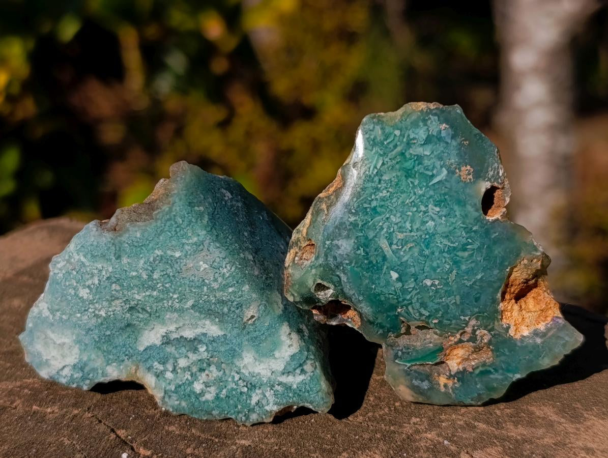 Polished on One Side Mtorolite Chrysoprase Slices x 24 From Mutorashanga, Zimbabwe - Toprock Gemstones and Minerals 