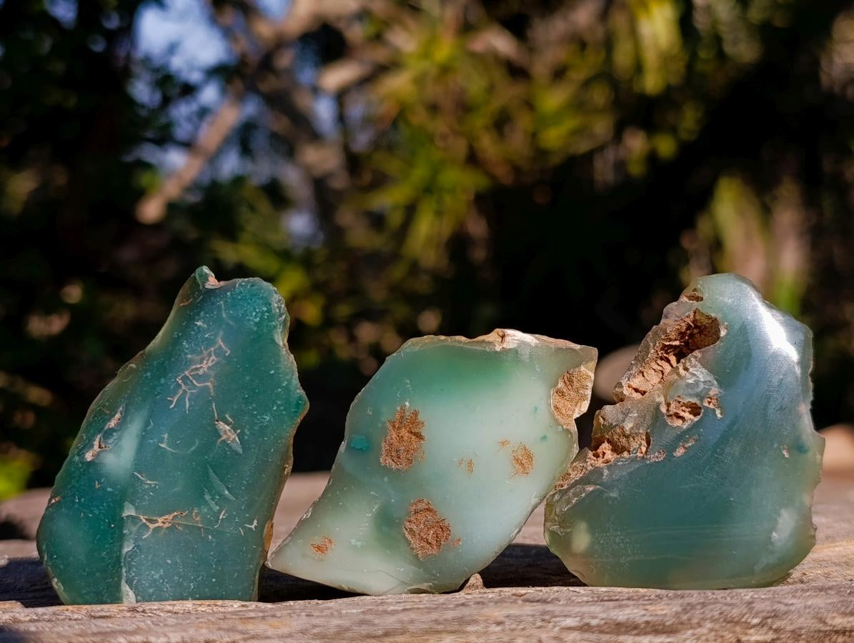 Polished on One Side Mtorolite Chrysoprase Slices x 24 From Mutorashanga, Zimbabwe - Toprock Gemstones and Minerals 