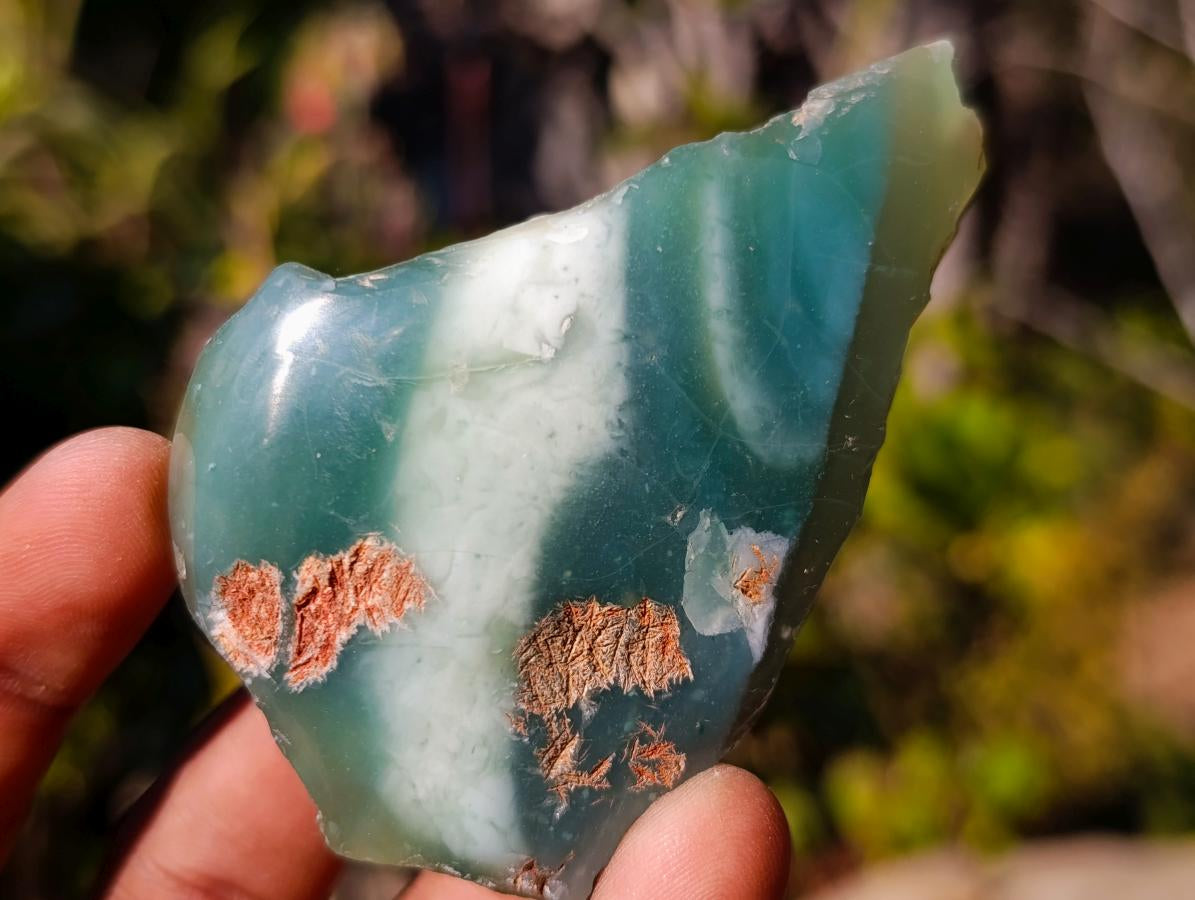 Polished on One Side Mtorolite Chrysoprase Slices x 24 From Mutorashanga, Zimbabwe - Toprock Gemstones and Minerals 